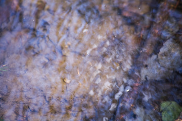 Natural background water. Forest stream. The beginning of spring. The beauty of the water flow. Waves on the water. Walk into the forest. The benefits of clean water.
