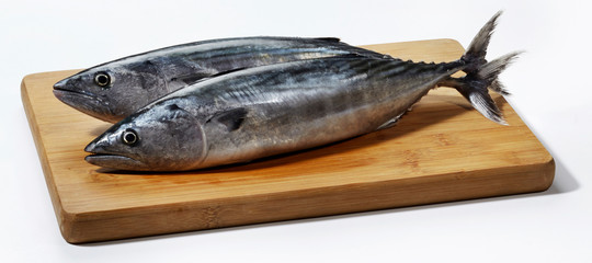 Fresh mackerel fish on wooden cutting board