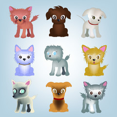 Cachorros