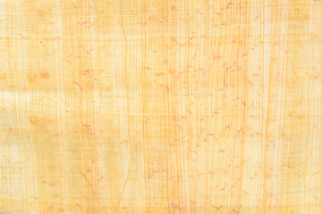 Real Egypt papyrus paper background and texture number 15. Close up macro.