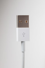 Standard USB plug