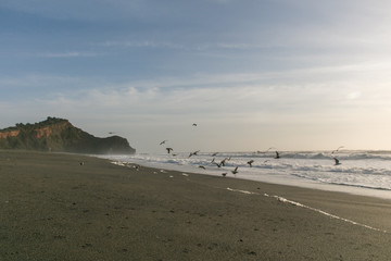 Coast in North california