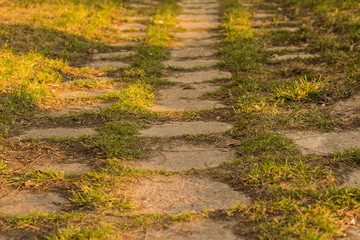 Old cobblestone path for pedestrians, overgrown with fresh green grass