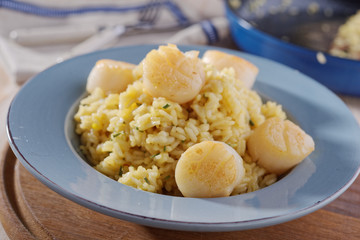 Risotto with scallops