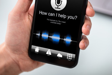 Voice Recognition Function On Mobile Phone