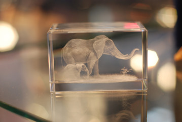 Acrylic hologram of two elephants