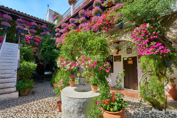 Fototapeta na wymiar Flowers at Cordoba´s courtyards, Spain