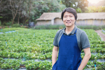 Happy owner asian man working and gardening his farm, nursery worker planting in the orchard, small...