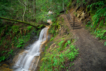 Hiking Trail Steps & Lower Golden Cascade Falls - Big Basin State Park, Santa Cruz Mountains