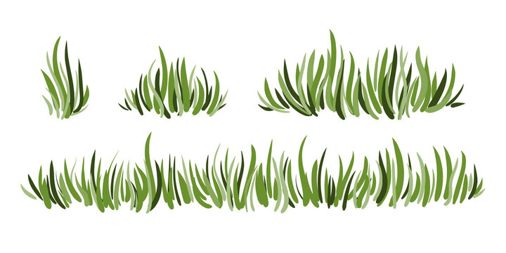 Hand drawn green grass set isolated on white background. Horizontal borders.