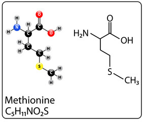 Methionine Molecule Structure