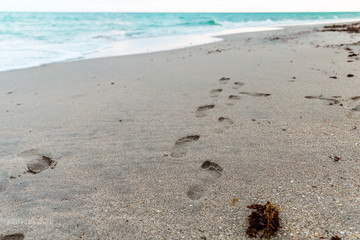 Fototapeta na wymiar Foot Prints in the sand