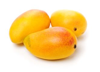 Mango on white background