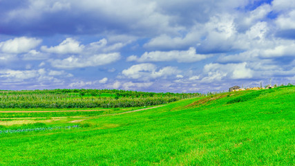 Fototapeta na wymiar Green field, landscape of meadow with grass Upstate New York