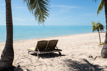 Beach chairs and palmtrees at tropical beach.