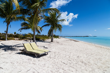 Beach chairs and palmtrees at tropical beach.