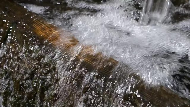 湧き水