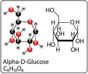 Alpha-D-Glucose Molecule Structure