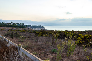cliff view of pacific ocean with yellow fowering bushes