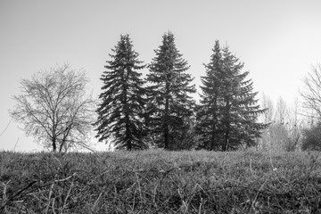 Landschaftsaufnahme Mitterkirchen im Machland in Oberösterreich / Österreich