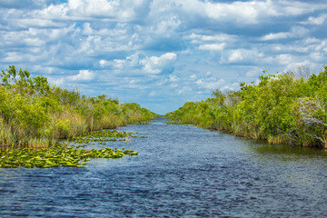 Everglades National Park. Swamps of Florida. Big Cypress National Preserve. Florida. USA.