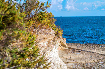 Steep seashore covered with plants landscape
