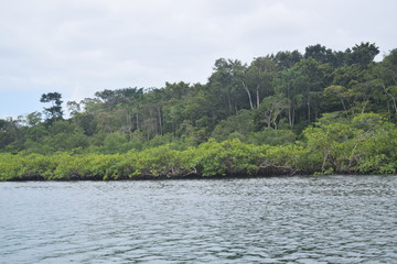 BOCAS
