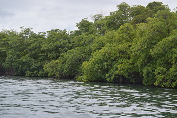BOCAS