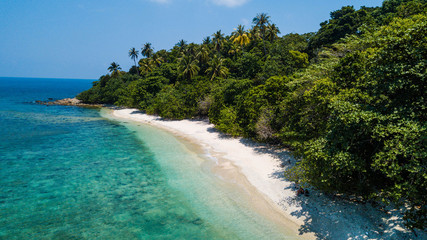 Amazing aerial view of tropical beach with nobody in summer. Vacation destination in Malaysia. Tropical sand beach with palm trees and crystal water