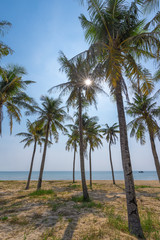 Fototapeta na wymiar Palm trees on a beach. The old fishing houses on stilts turquoise sea.