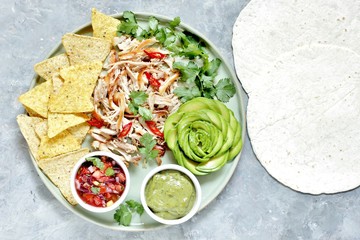Mexican buddha bowl chicken nachos. kirin meat fibers, nachos chips, avocado rose, cilantro greens, avocado sauce, salsa sauce (Pico de Gallo). copy space.