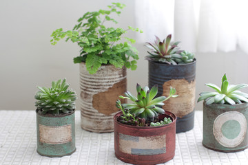 白いカーテン越しに飾ってるリメイク缶に入れた観葉植物
