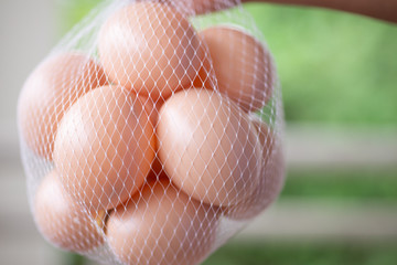 Group of eggs on green blur background.