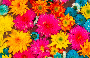 bouquet of colorful flowers