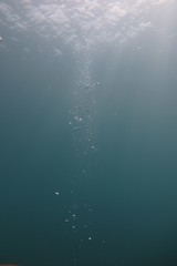 sea