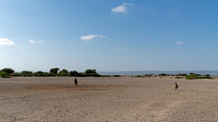 Fototapeta na wymiar Dry river bed is the only source of water for an Afari Village in Djibouti