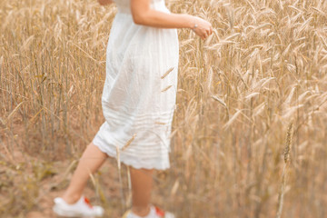 Close-up of feet walking on the golden wheat at sunny day. Enjoying nature. Beautiful girl in the rays of sunlight. Sunlight.