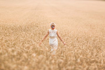 Naklejka na ściany i meble Young blonde woman standing on golden wheat field and touching wheat ears at sunny day. Enjoying nature. Beautiful girl in the rays of sunlight. Sunlight.