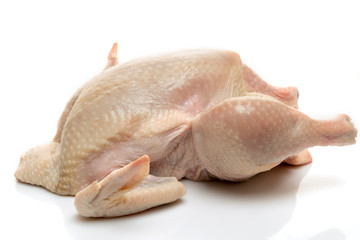raw chicken on white background