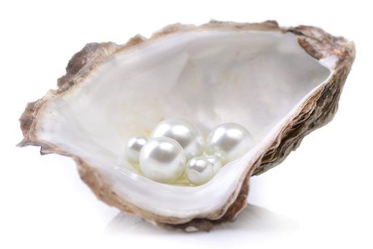 Pearls on a white background