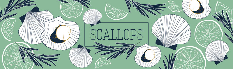 Shellfish and seafood restaurant or fishery product market banners template. Scallops banner vector template. Hand drawn illustration on green background