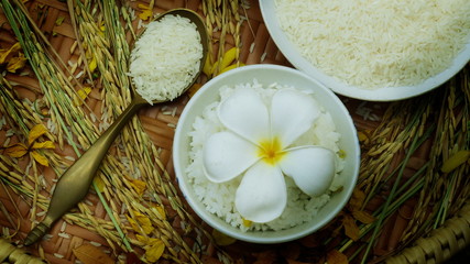 Thai rice grain characteristics