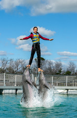 Woman pushed out of the water by dolphins, swimming with dolphins.