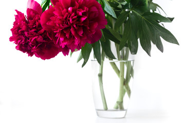 Red flowers in the glass on white background