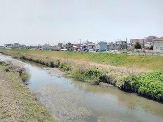 埼玉県　さいたま市　島根橋