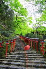 Kifune shrine(貴船神社）