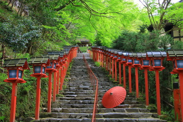 Kifune shrine(貴船神社）