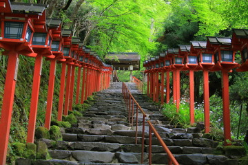 Kifune shrine(貴船神社）