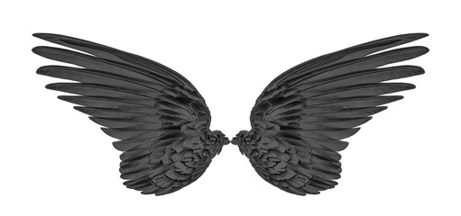 black wings on white background