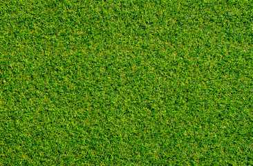 Obraz premium Green decoration artificial grass use for sport background.